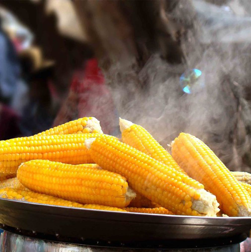 Photo avec la date de réouverture du camping